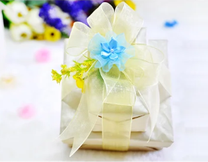 YAMA Ombre Organza Ribbon 23300